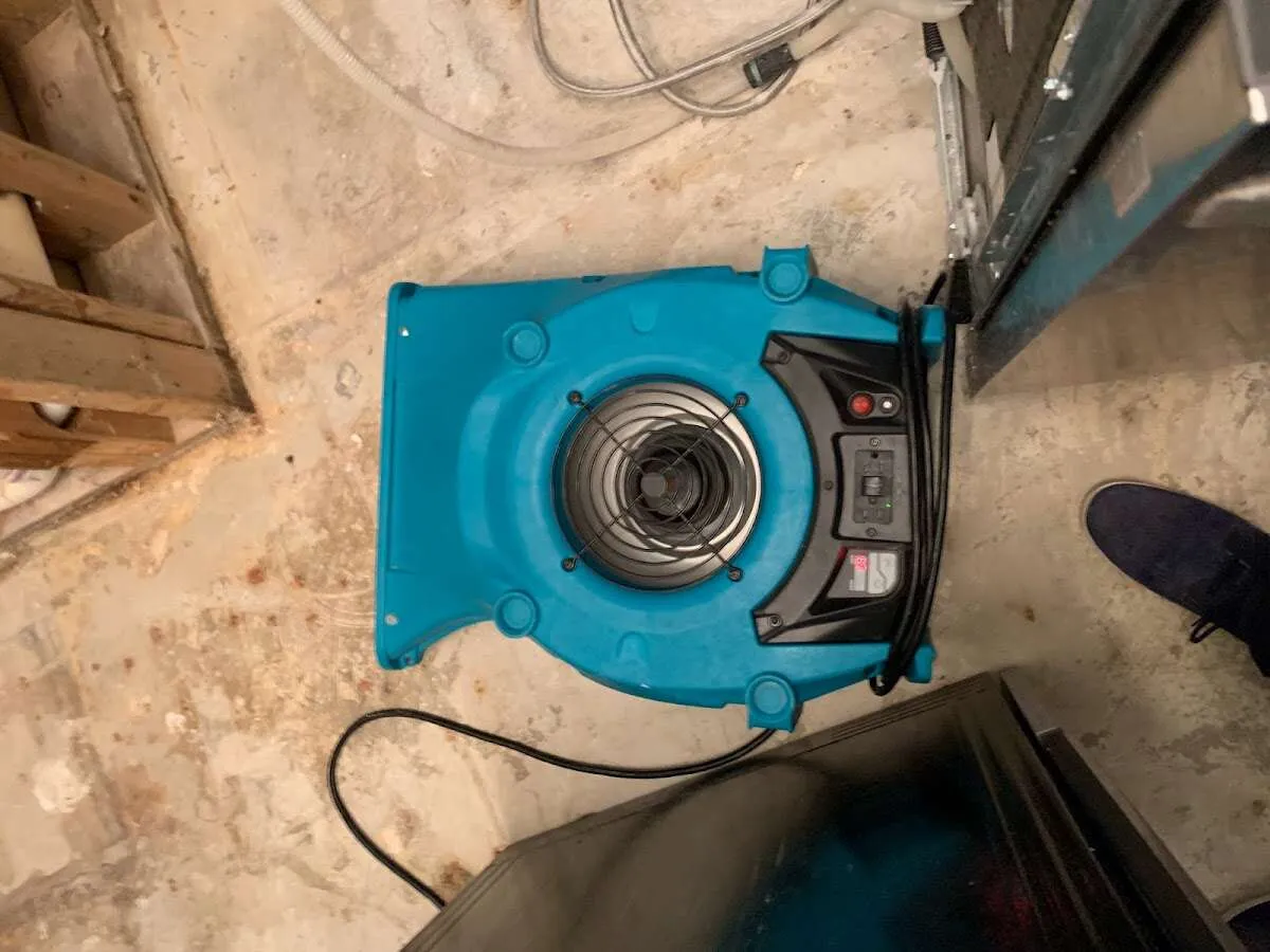 Air mover drying equipment for Mold Remediation & Removal in Mattapoisett